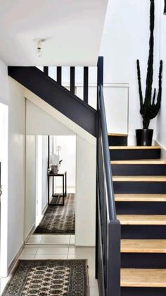 a hallway with black and white stairs, rugs and potted cactus in the corner