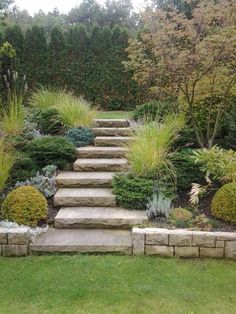 a garden with stone steps leading up to trees