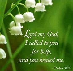 lily of the valley with bible verse about lord my god, i called to you for help and you healed me