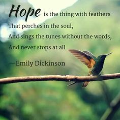 a hummingbird sitting on top of a branch with a quote above it that reads, hope is the thing with feathers that perches in the soul and sings the tunes without the words, and never stops at all