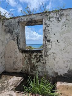 an old building with a window and plants growing out of the ground next to it