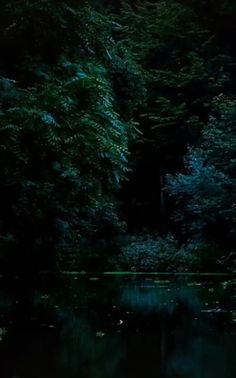 a body of water surrounded by trees in the dark