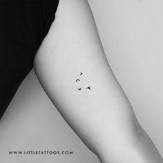 a black and white photo of a woman's arm with birds on it