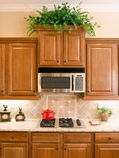 a kitchen with wooden cabinets and a potted plant on the top of the stove