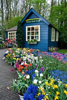 a blue building with flowers in front of it