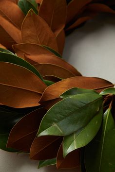 a close up of a wreath with leaves on it