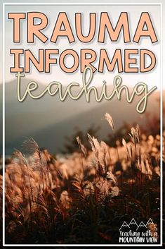 Trauma-Informed Teaching: What It Is and Why It’s Important - Teaching with a Mountain View Affective Needs Classroom, School Performance, Psychology Studies, Substitute Teaching, Elementary Counseling, Thesis Writing