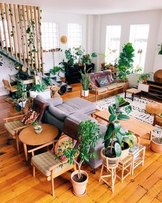 a living room filled with furniture and lots of plants on top of wooden flooring