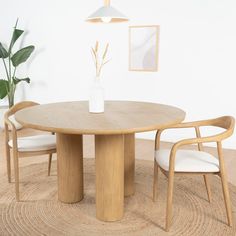 a round wooden table with two chairs around it and a plant in the corner next to it