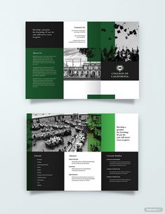 two fold brochure with green and black design