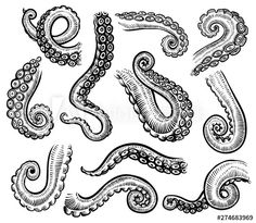 an octopus and other sea creatures are depicted in this drawing