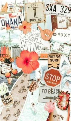 a collage of various signs and stickers on a white background with orange flowers