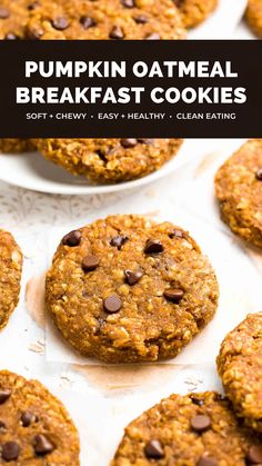 pumpkin oatmeal breakfast cookies with chocolate chips on top and the title overlay