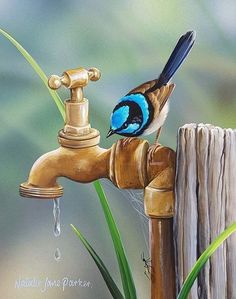 a painting of a blue and black bird drinking water from a faucet next to a wooden fence