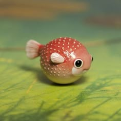 a small red fish with white dots on it's body sitting on a green surface