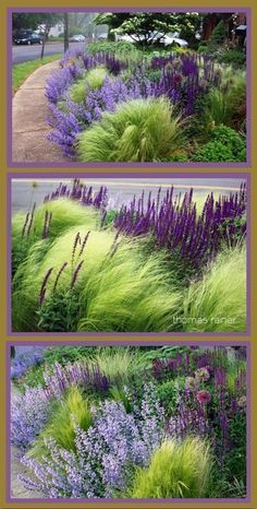 purple and green plants are in the middle of two pictures, each with different colors