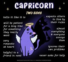 a purple cat with an angel on its back and captioning capricorn two sides