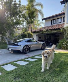 a dog standing in the grass next to a silver sports car and a house with palm trees