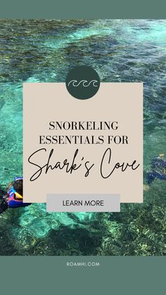 the words snorkeling essentials for shark's cove on top of an image