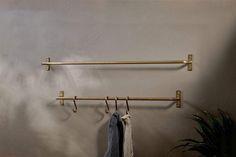 two coats hanging from hooks on a wall next to a potted plant and towel rack