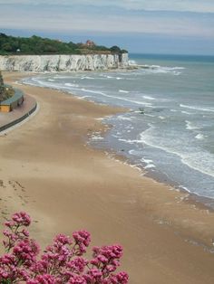 a sandy beach next to the ocean with pink flowers in front of it and cliffs on either side