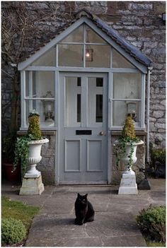 a black cat sitting in front of a house