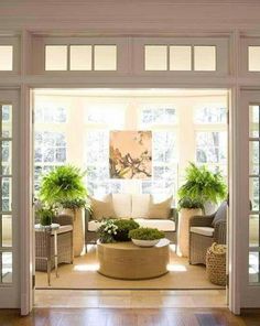 a living room filled with lots of furniture and plants on top of it's windows