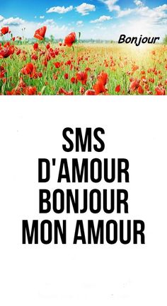 a field with red flowers and the words sms d'amour bonjour