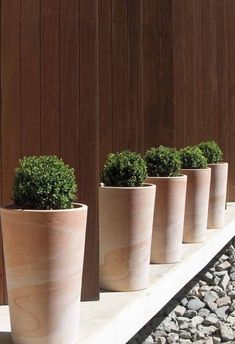 four planters are lined up against a wooden wall with gravel on the ground below them