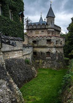 an old castle with ivy growing on it's walls and grass in the foreground