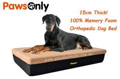 a black and brown dog laying on top of a memory foam orthopedic bed