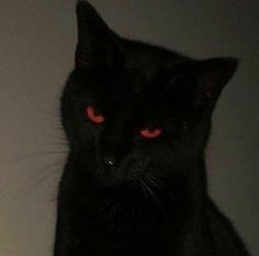 a black cat with red eyes staring at the camera