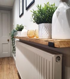 a white radiator with plants on top