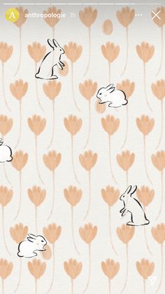 an image of rabbits in front of flowers on a phone screen with the text, anthropologie ii