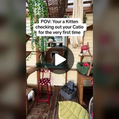 a screen shot of a cat sitting on a porch with the caption pov you're a kitten checking out your catio for the very first time