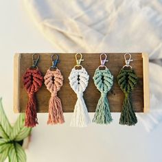 four tasseled key chains hanging on a wooden board next to a potted plant