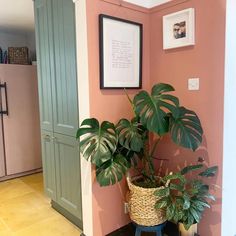 there is a potted plant on the floor in front of a pink wall and green door