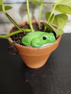 a green frog keychain sitting on top of a plant in a clay pot