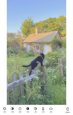 a black dog jumping over a fence in front of a house and yard with tall grass