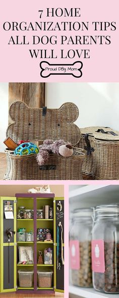 an organized home organization tips all dog parents will love