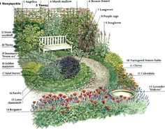 the parts of a garden in english with pictures and description for each part on it