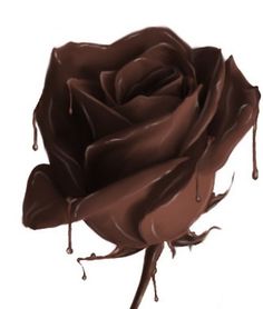 a brown rose with drops of water on it