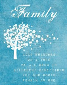 a family tree with the words, like branches on a tree we all grow in different directions yet our roots remain as one