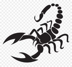 a scorpion tattoo on a white background, with black and white lines in the shape of an