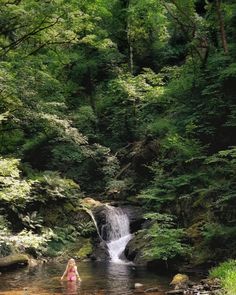 a woman standing in a river next to a forest filled with lots of green trees