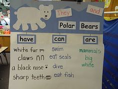 a bulletin board with polar bears and other words on it in a classroom setting,