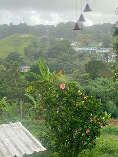 a view of a lush green hillside with trees and houses in the distance on a cloudy day