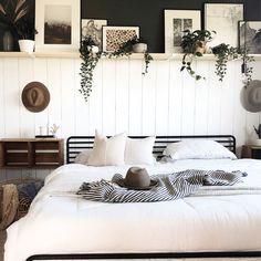 a bed sitting in a bedroom next to a wall with pictures on it and plants