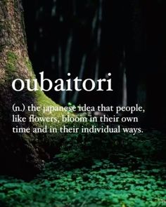 the words obbattorii are written next to a large tree in the woods