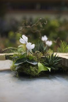 white flowers and greenery are placed on a piece of wood in the middle of a garden